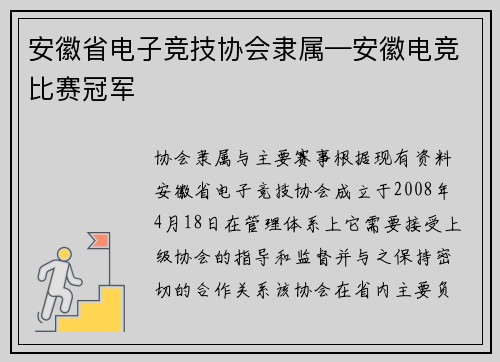 安徽省电子竞技协会隶属—安徽电竞比赛冠军